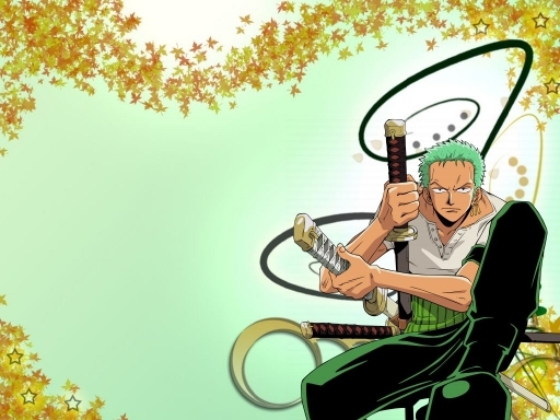 ZoRo. - One Piece ZoRo