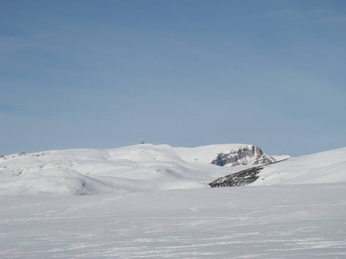 DSC01175 - Bucegi - Valea Izvorul Dorului-Padina