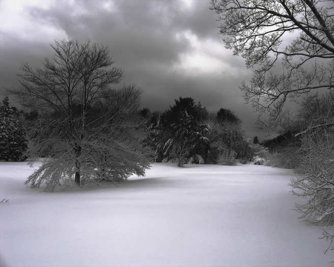 nature (107)