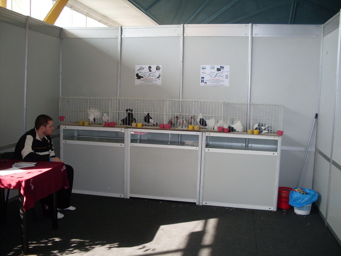 SDC10577 - S -Expo Cluj 24-25 Octombrie