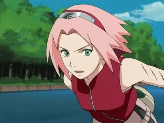 sakura 16