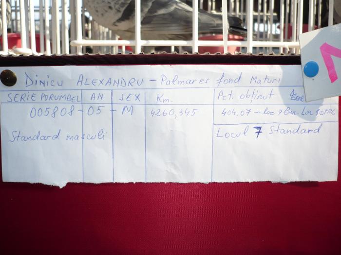 F-005808-05-RO-M loc 7 national 2008-palamres fond maturi- standard masculi- diniculaexandru 0726750; 005808-05-RO-M loc 7 national 2008-palamres fond maturi- standard masculi- diniculaexandru 072675025

