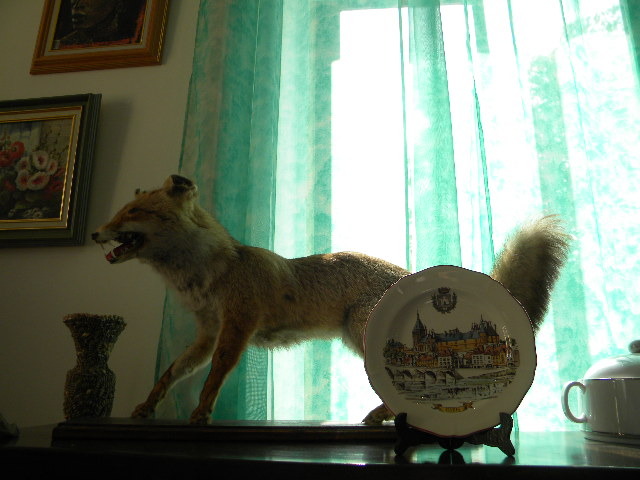 DSCN1703
