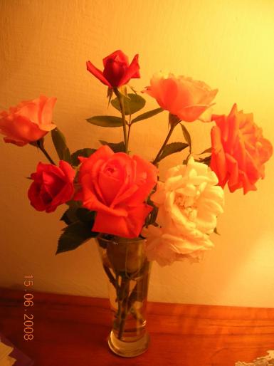DSCN0525 - trandafiri in vaza