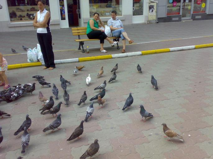 23072008659 - 18a Constanta 1