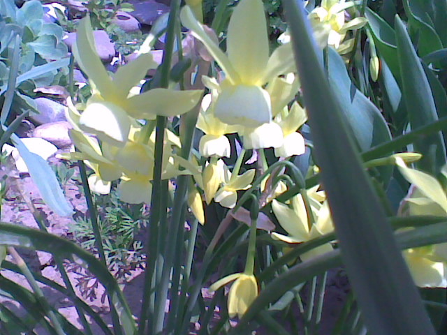 Imag046