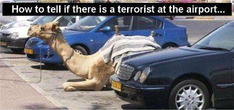 Camel Parking