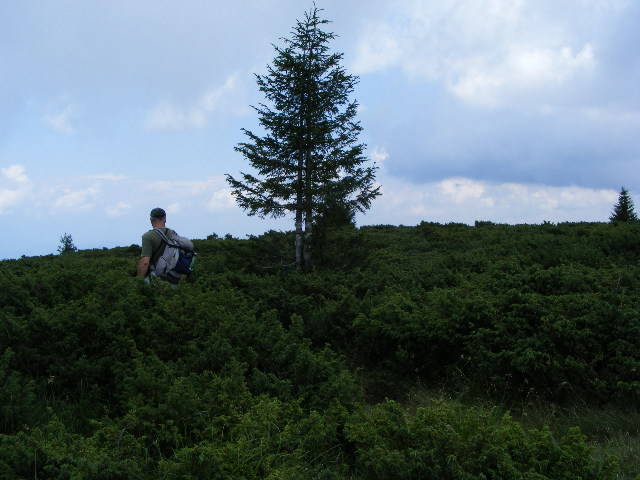 DSCF3138