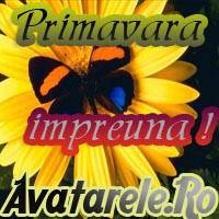 10 - Avatare