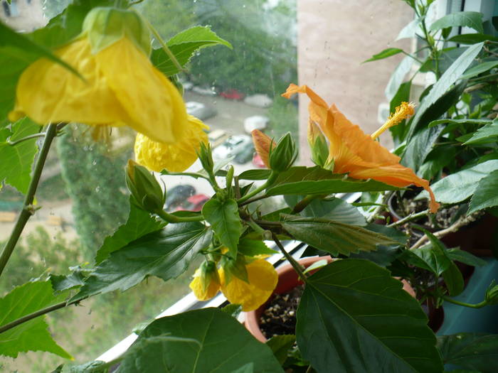 P1110656