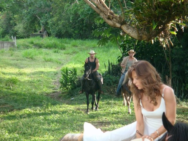 242tvd4