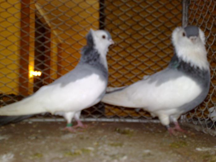 2009-02-14_11-00-38_140220091102