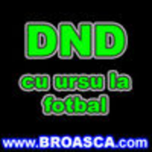 thumb_avatare_poze_dnd_cu_ursu_la_fotbal - imagini cu scris