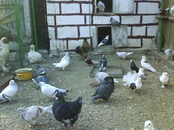 DSC01308