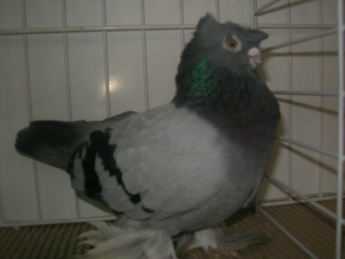 SANY0132