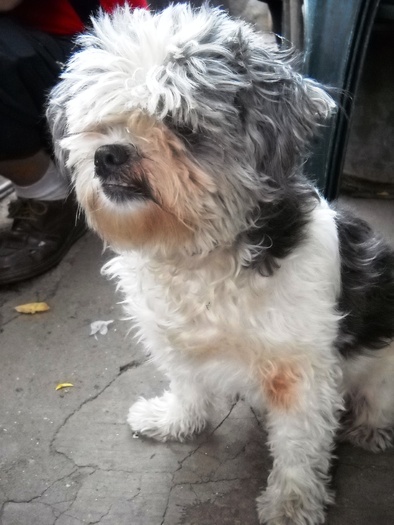 Picture 014; 1.86mb jpeg 10/6/2009 5.18pm
