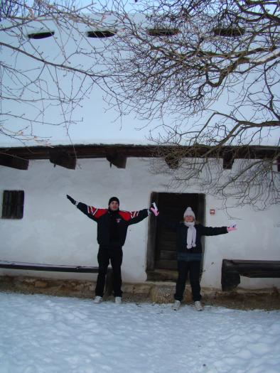 DSC05671 - poze Ianuarie 2009