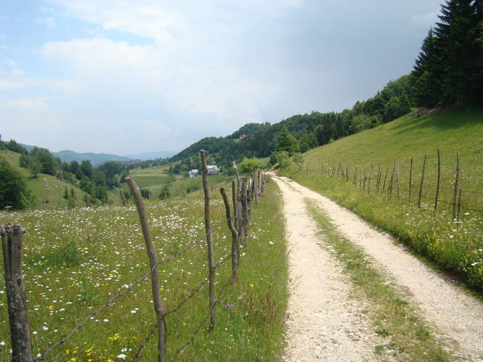 DSC03890 - Concediu 2009