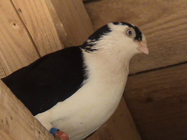 DSC01668
