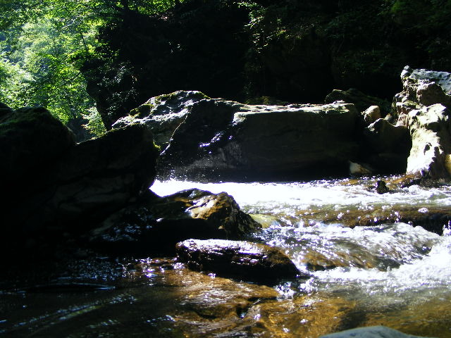 DSCF5244