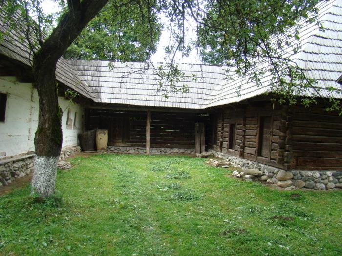 DSC02067 - Concediu 2008