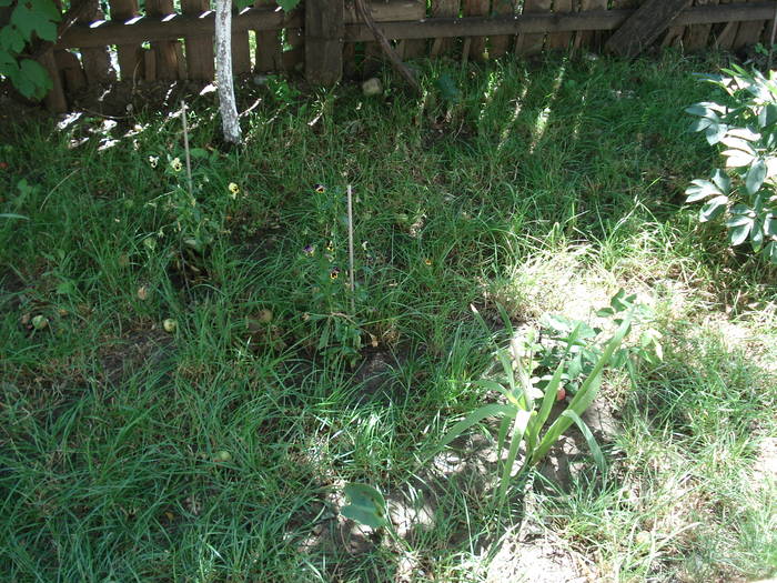 DSC09228