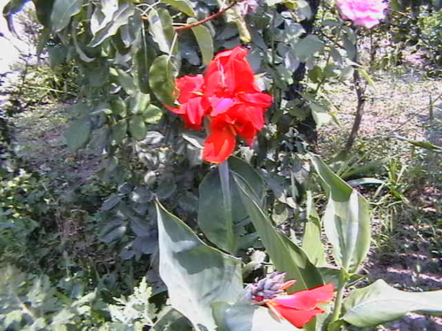 Picture 023