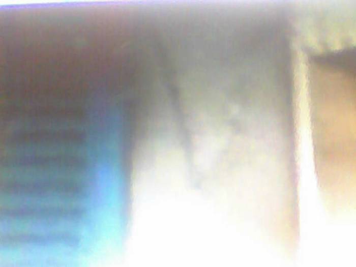 snapshot-435 - Sora lui Cleo Kim