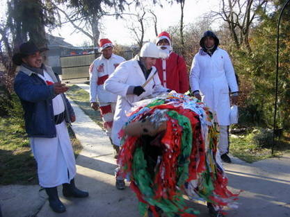 Capra - obicei stravechi - flori si animale 2009