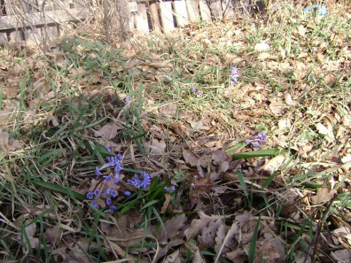 DSC00869