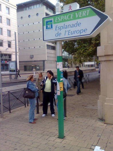 indicatie-fara cuvinte - ApiMondia