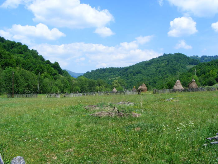 DSCF0995