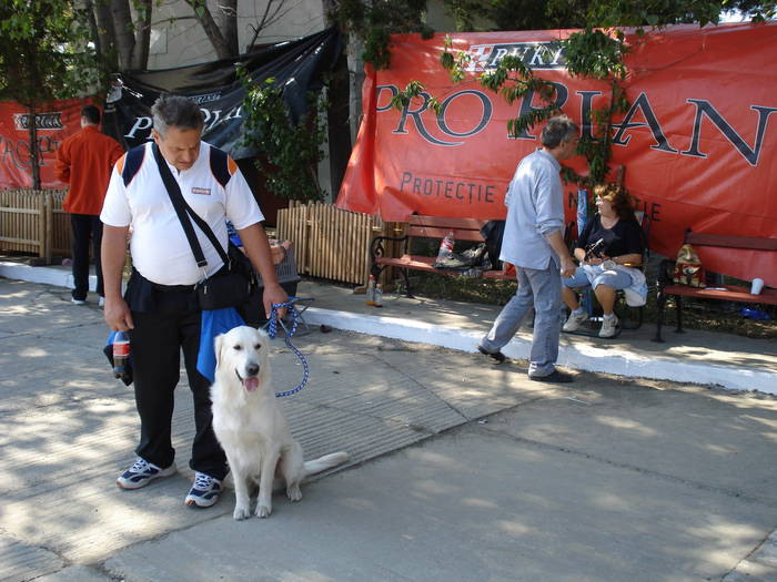 DSC07065 - 2007 EXPOZITIE CANINA