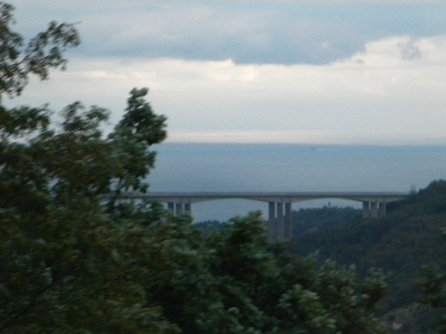 DSCN0523