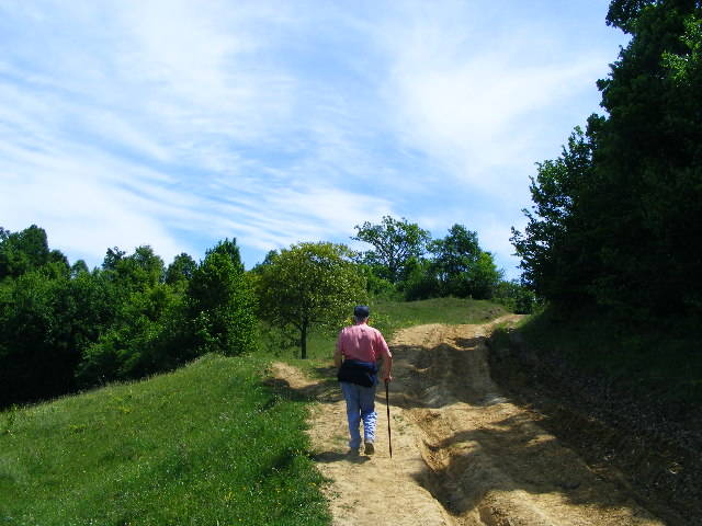 DSCF0522