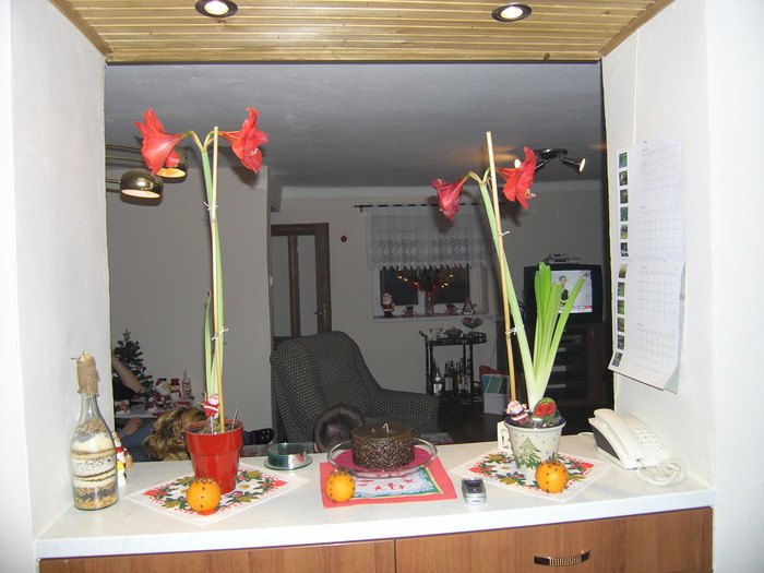 PC241443 - Marcovat fotografii