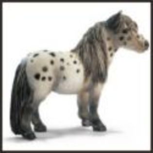 ponei din schleich - Schleich