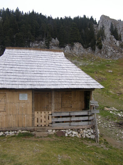 104