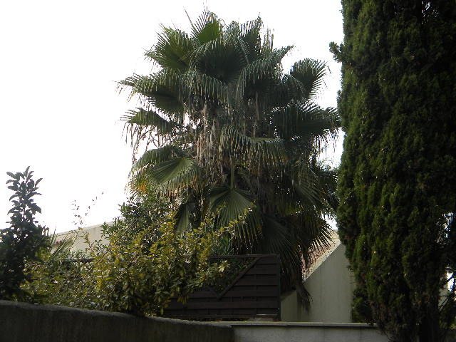 DSCN0905 - HOTELUL SI PLAJA