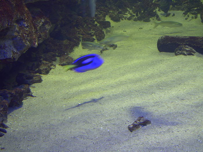 PICT0135 - EXCURSIE  in DELTA