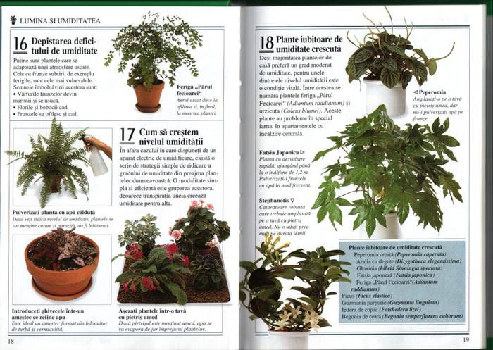 09 - informatii plante