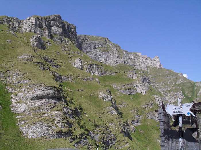 SDC10094 - Valea Caraiman-Bucegi