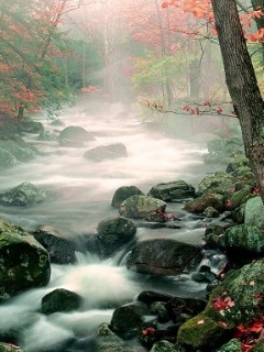 04563453 - Mobile Wallpapers
