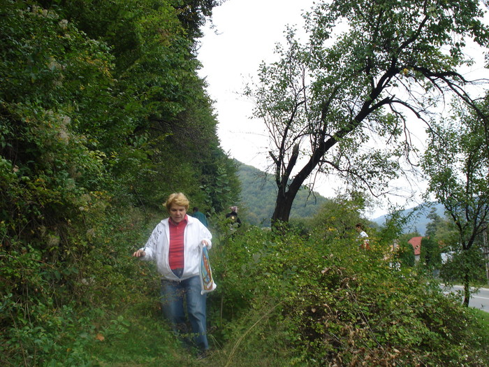 DSC04832 - 2009 OLANESTI SEPTEMBRIE