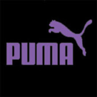 awery - Adidas nike puma