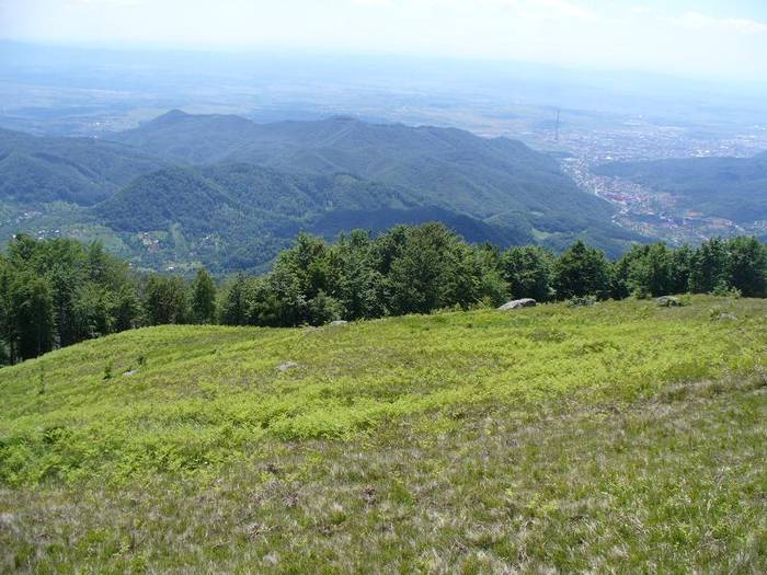 P1000529 - varful Ignis Maramures
