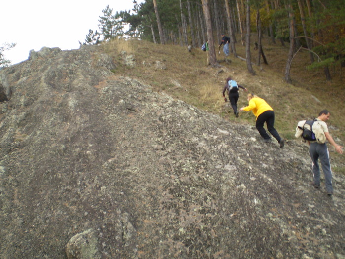 VALEA CALINESTI-PIETRELE ZMEILOR 11.10.2009 021