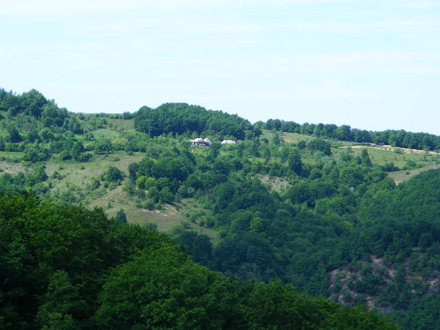 DSCF0601