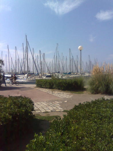 Imagine1244 - ApiMondia