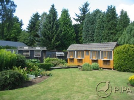 huis21072009_007 - MODELE DE CRESCATORII